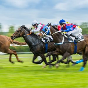 Why is gambling so addictive? Betting on horse racing can become an addictive habit